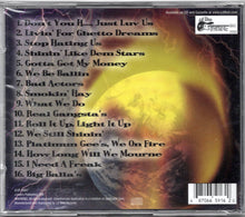 Load image into Gallery viewer, DSD &amp; PG-Til Da World Blows CD (2001)
