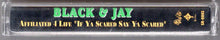 Load image into Gallery viewer, Black &amp; Jay-Affiliated 4 Life Cassette Tape (1998)
